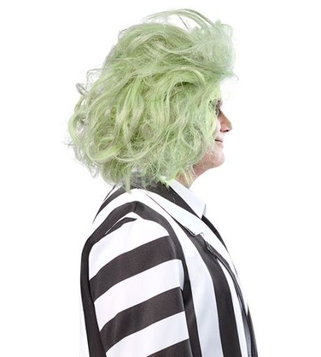 Beetlejuice Adult Wig