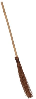 Witch Broom