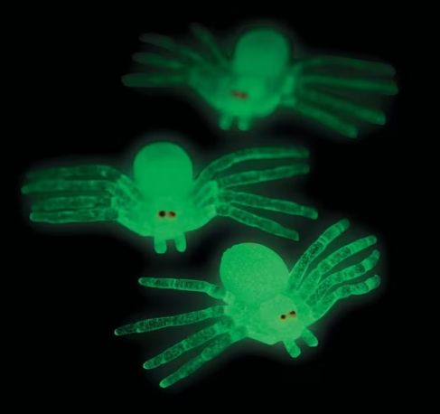 Glow-in-the-Dark Spiders