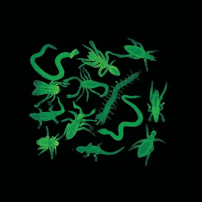 Mini Glow-in-the-Dark Nature Assorted