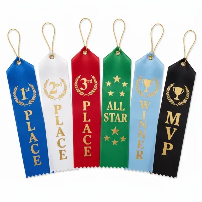 6Ct Assorted Recognition Ribbons