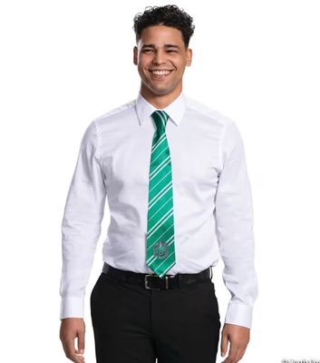 Adult Harry Potter Slytherin Tie