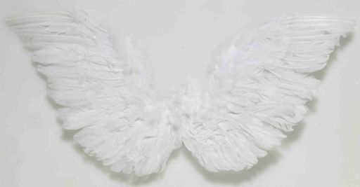 Small Feather Angel Club Wings