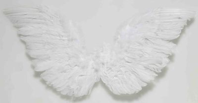 Small Feather Angel Club Wings