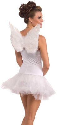 Small Club Feather Wings