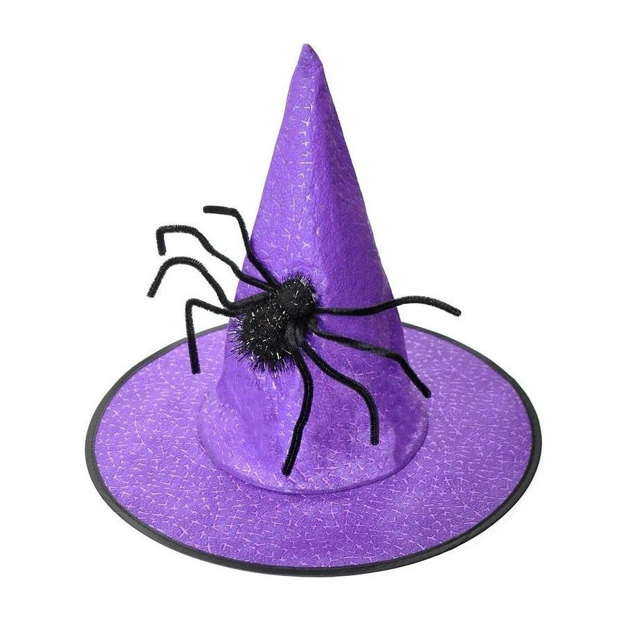 Witch Hat with a Spider