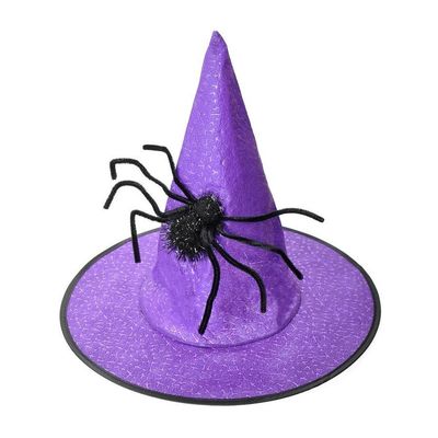 Witch Hat with a Spider
