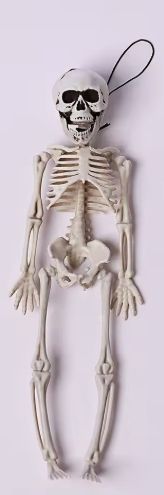 1ft Skeleton