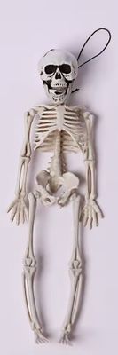 1ft Skeleton