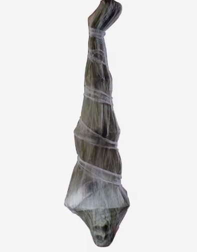 Mummy style hanging man