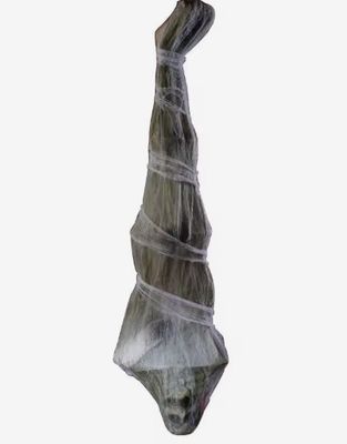 Mummy style hanging man