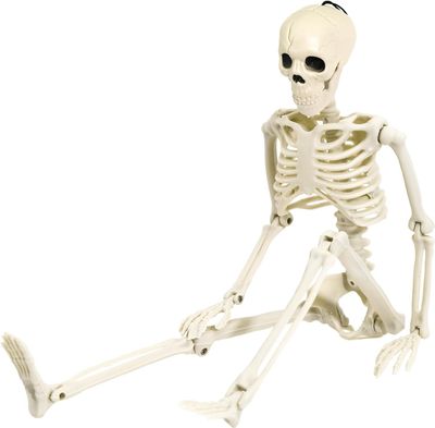 3Ft Skeleton