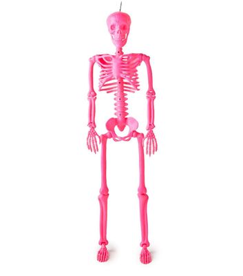 5.4Ft Skeleton - Pink
