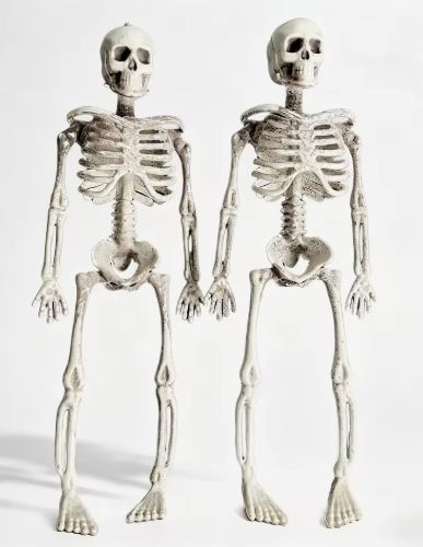 6.5Ft Skeleton