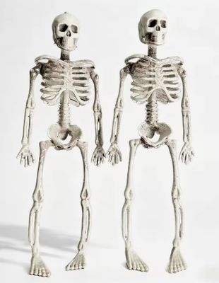 6.5Ft Skeleton