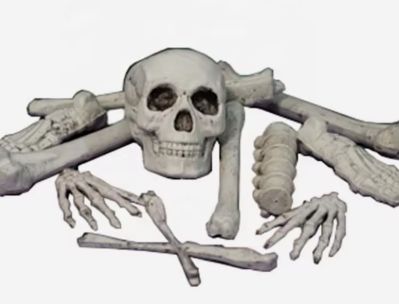 10Pc Bone Bag