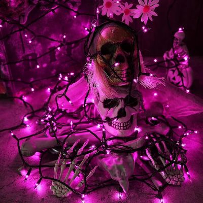 32 Ft Holiday Colorful Lights Purple