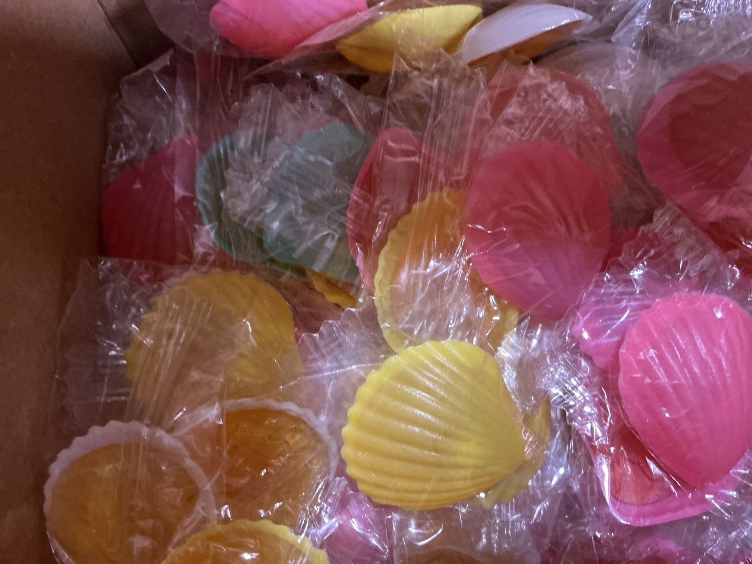 S&amp;C seashells 9gr lik schelp