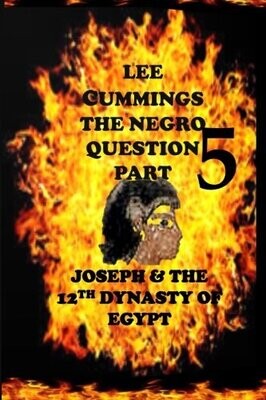 THE NEGRO QUESTION PART 5 - JOSEPH AND THE 12TH DYNASTY OF EGYPT - PAPERBACK