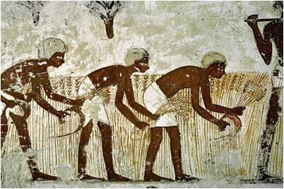 Negro Question History course