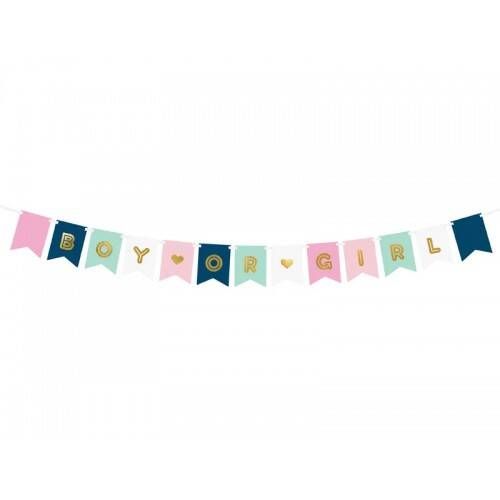Banner Boy or Girl