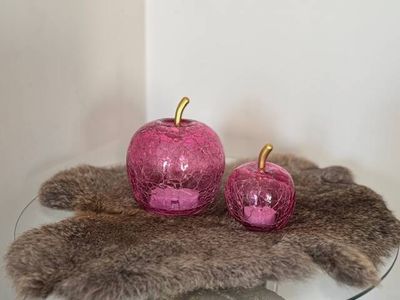 Set van 2 roze appels met LED's
