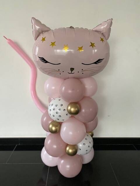 Kitten