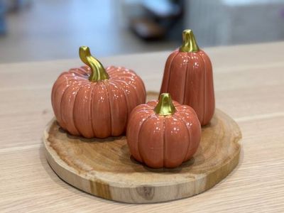 Set decoratieve pompoenen terracotta — set pompoenen