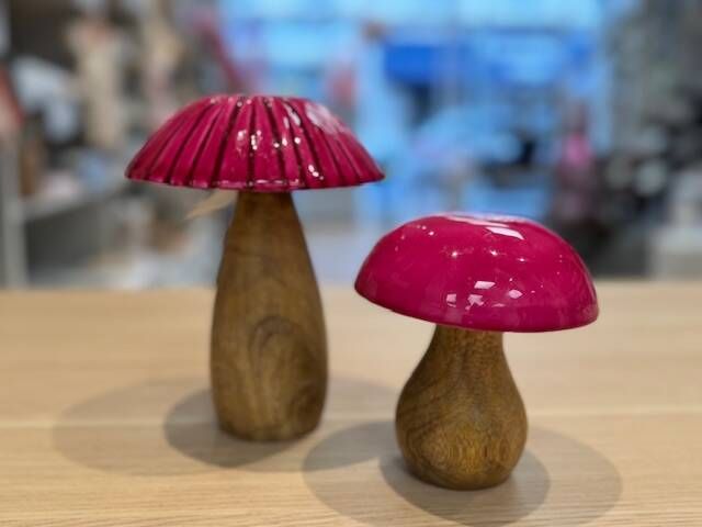 Set paddenstoelen fuchsia
