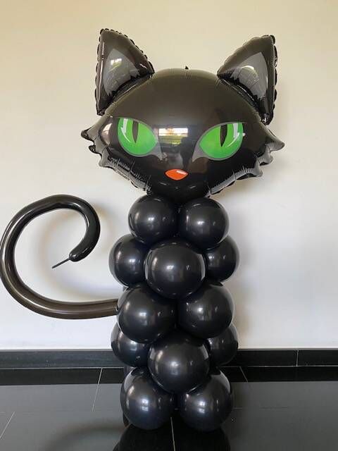 Zwarte kat