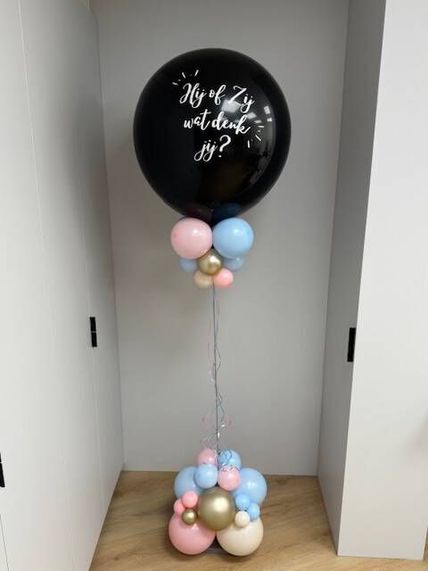 Staander Gender Reveal