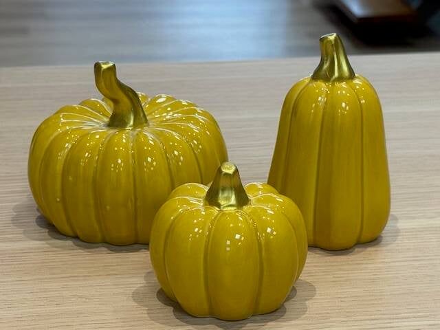 Set decoratieve pompoenen oker — set pompoenen oker