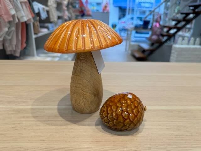 Set Paddenstoel + dennenappel