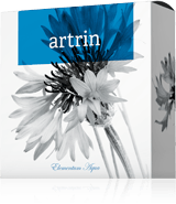 ARTRIN Seife ARTRIN Seife