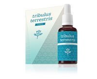 TRIBULUS TERRESTRIS FORTE - Bioinformations-Kräuterkonzentrat