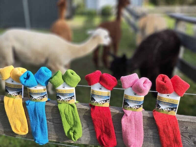 Alpakasocken Wollsocken 100% Trend mit Umschlag Bunt Dünn Fein Superweich Bettsocken Yoga Kuschelsocken