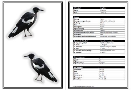 Flashcards 1 to 10