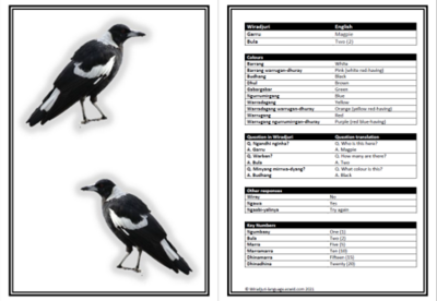 Flashcards 1 to 10