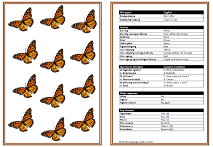 Flashcards 11 to 20