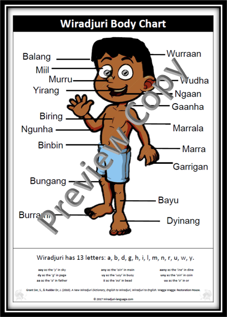 Chart A2 size Body chart