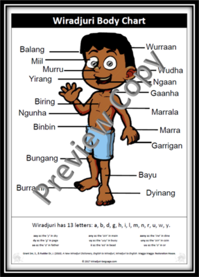 Chart 4 Body chart