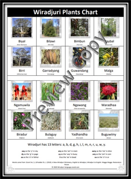 Chart 9 Plant Chart