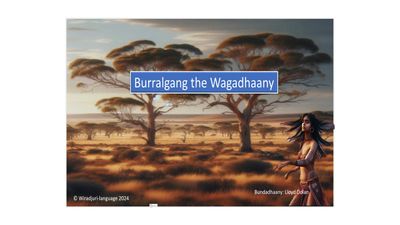 Story Book 2: Burralgang the Wagadhaany: Book