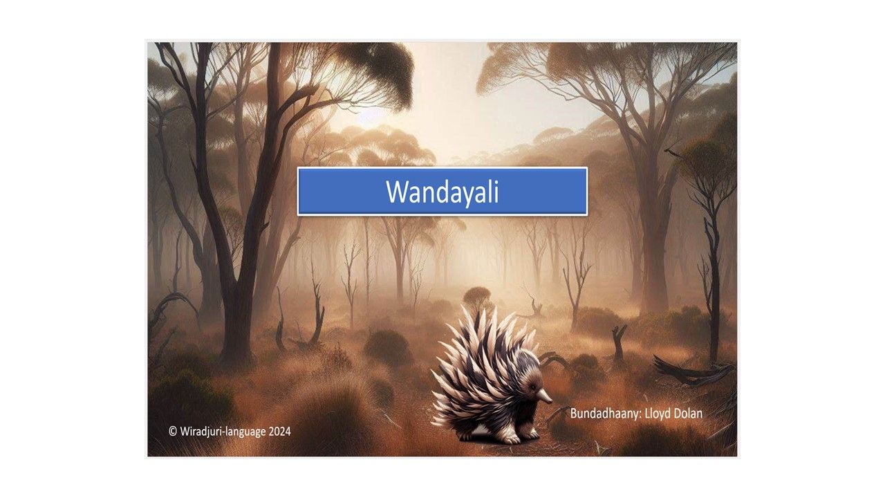 Story Book 9: Wandayali: Book