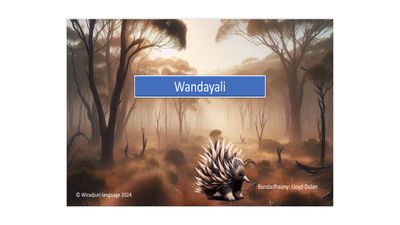 Story Book 9: Wandayali: Book
