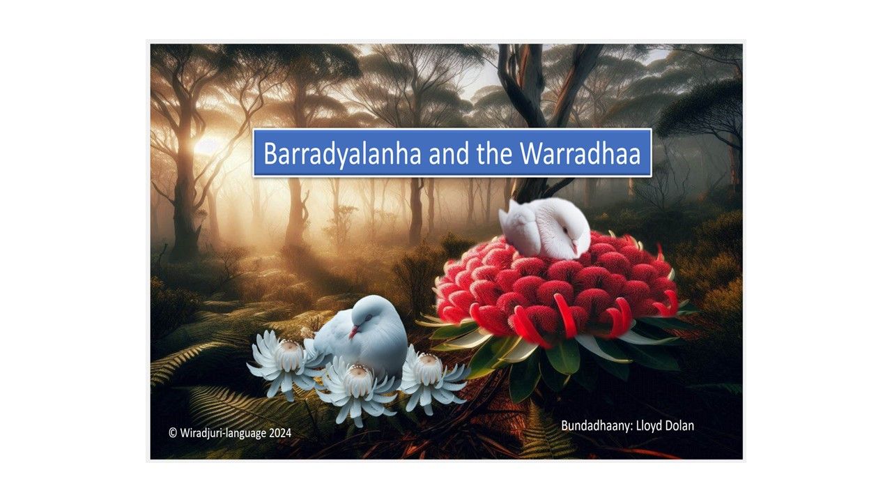 Story book 10 Barradyalanha and the Warradhaa: Book