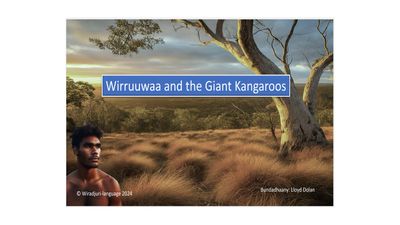 Story Book 1: Wirruuwaa and the bidhidyang Ganhur: Book