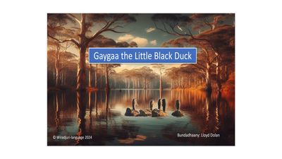 Story Book 5: Gaygaa the Little Black duck: Book