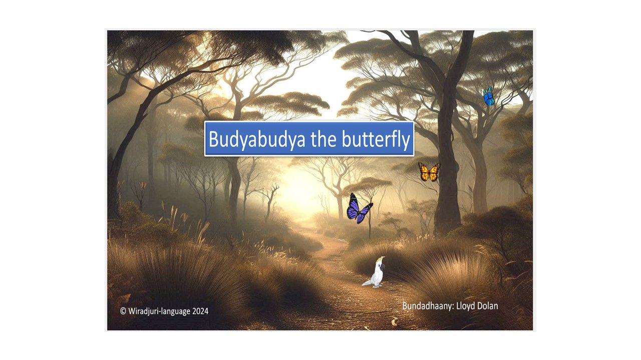 Story Book 7: Budyabudya the Butterfly: Book