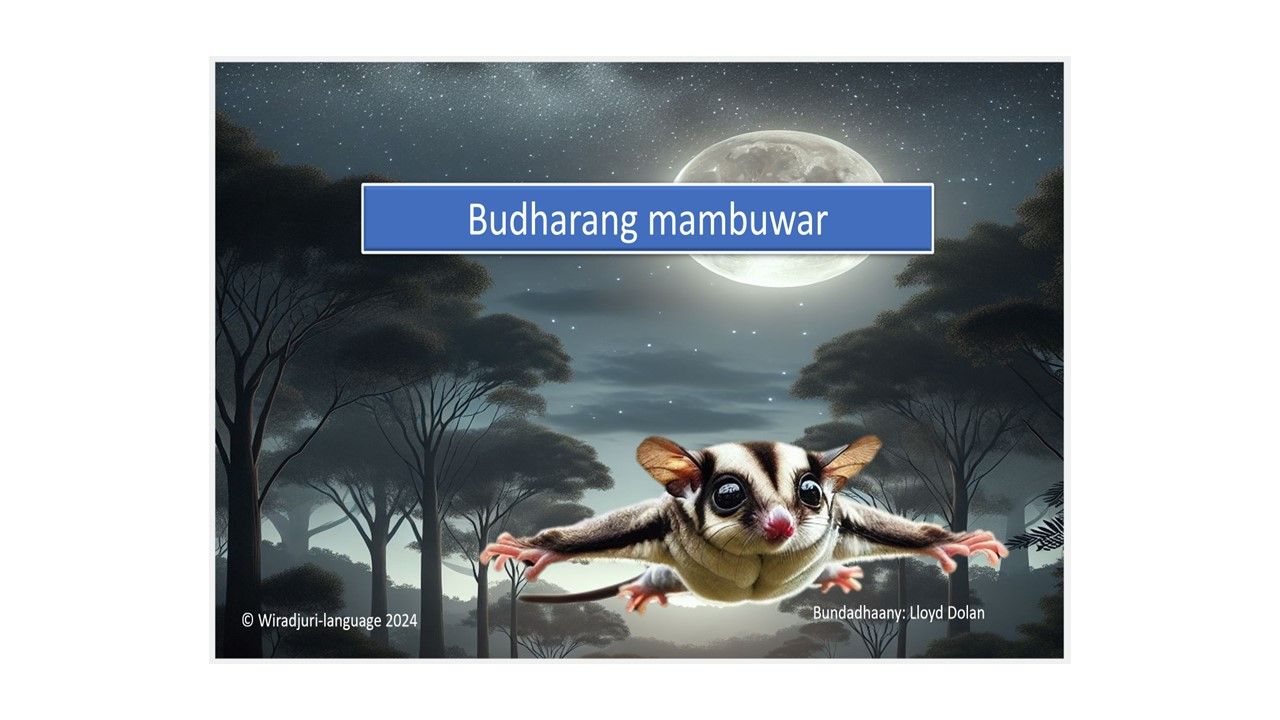 Story book 12 Budharang mambuwar story: Book